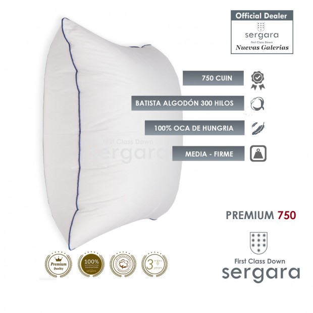 Sergara Premium 750 Oreiller Carré 100% Duvet d´Oie d´oie | Moyen