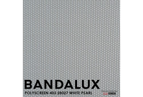 Store enrouleur Bandalux Premium Plus | Polyscreen 403