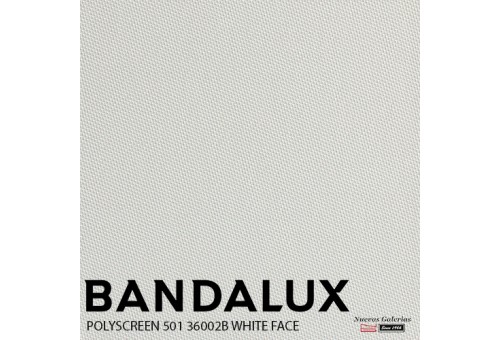 Store enrouleur Bandalux Premium Plus | Polyscreen 501