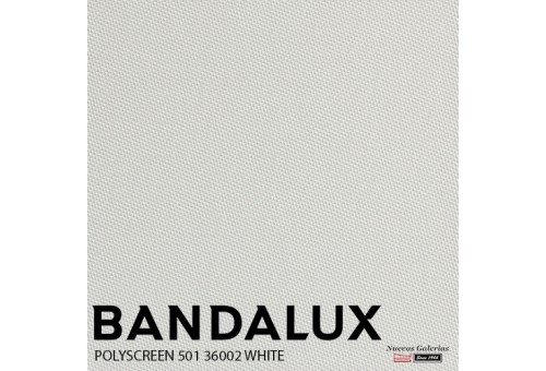 Store enrouleur Bandalux Premium Plus | Polyscreen 501