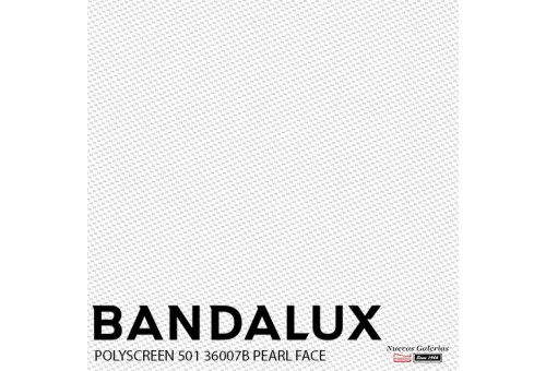 Store enrouleur Bandalux Premium Plus | Polyscreen 501