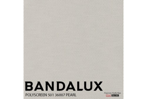 Store enrouleur Bandalux Premium Plus | Polyscreen 501