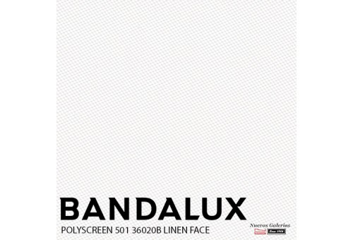 Store enrouleur Bandalux Premium Plus | Polyscreen 501