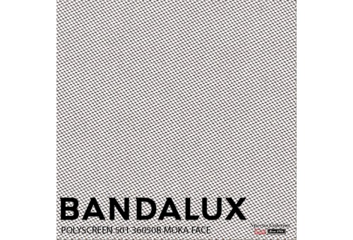 Store enrouleur Bandalux Premium Plus | Polyscreen 501
