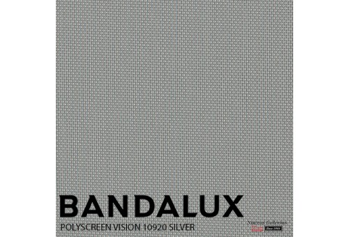 Store enrouleur Bandalux Premium Plus | Polyscreen Vision