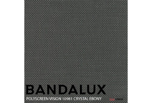 Store enrouleur Bandalux Premium Plus | Polyscreen Vision