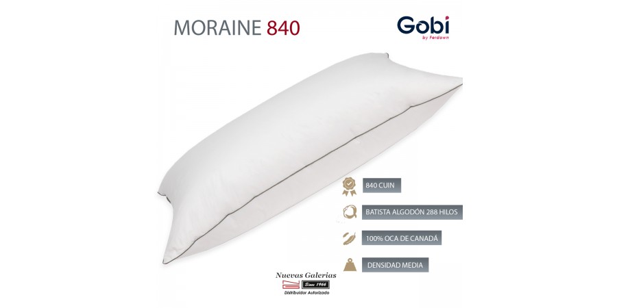 Ferdown Oreiller 100% Duvet d´Oie | Moraine 840 Moyen