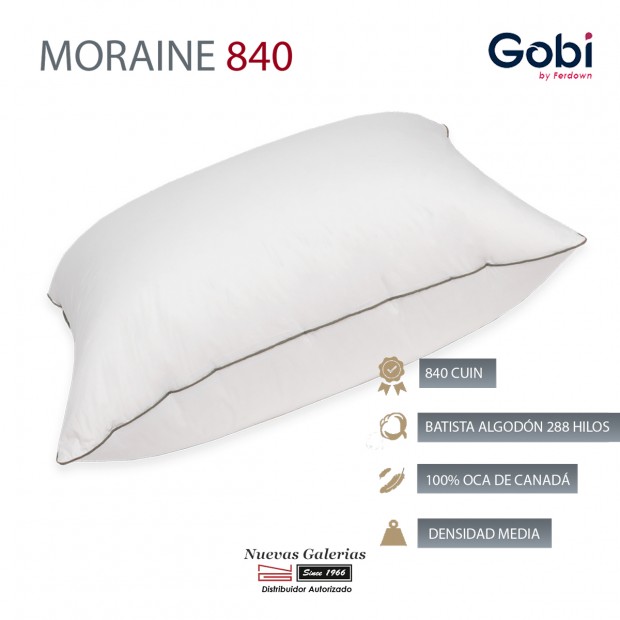Moraine Euro Square Down Pillow 830 CUIN | Ferdown