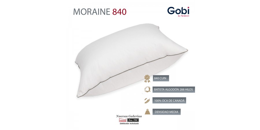 Oreiller Carré Moraine 100% d´oie 840 CUIN | Ferdown